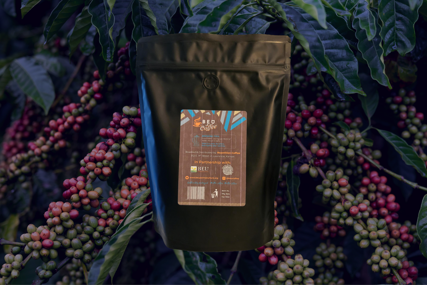 Robusta Roasted Beans By Bloom Uganda - 1.1 lbs