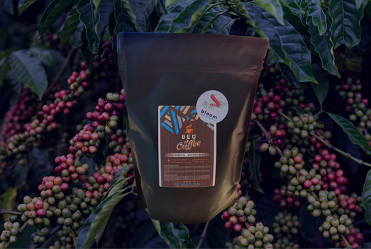 Robusta Roasted Beans By Bloom Uganda - 1.1 lbs